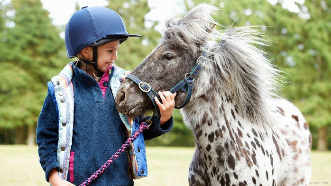 Berlin: Familienticket, Pony reiten & Eis für 9,50 €