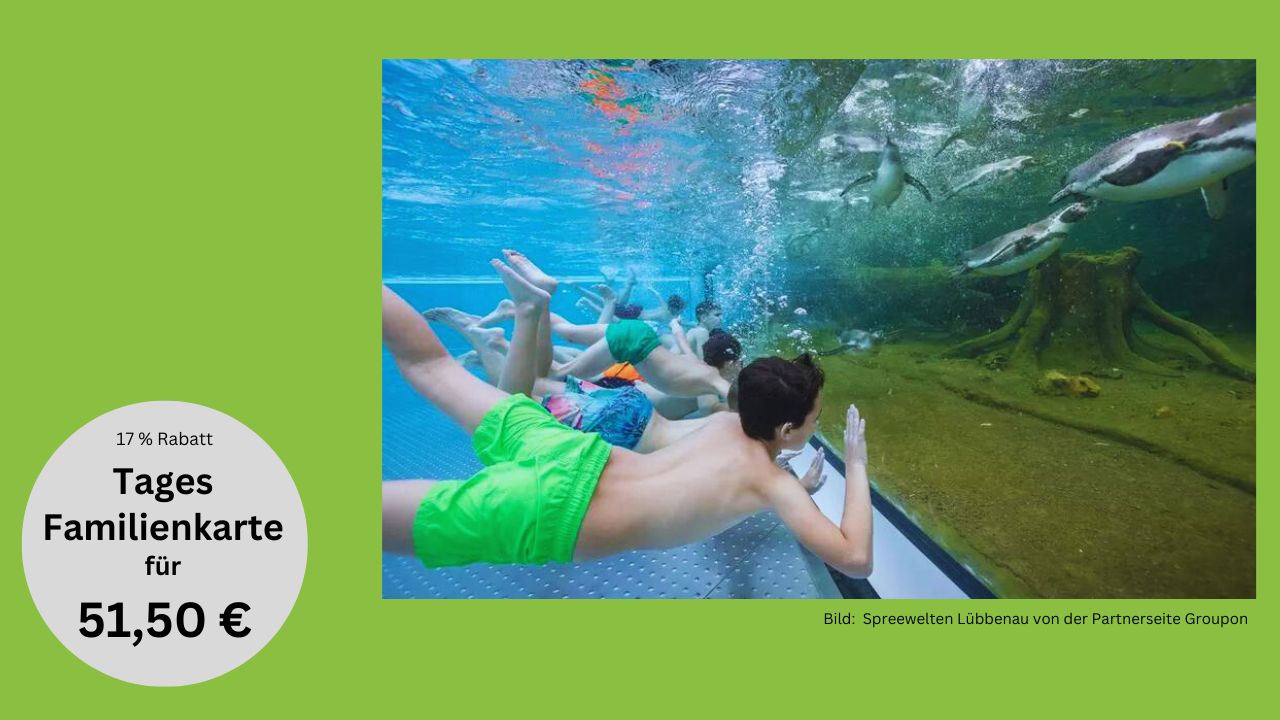 Familienausflug der Extraklasse: Schwimmen mit Pinguinen und Wellness im Spreewelten Lübbenau