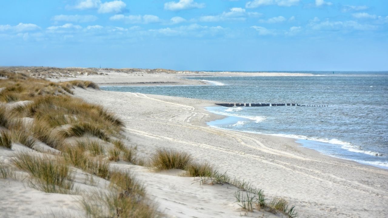 Sylt1