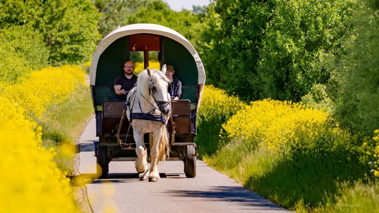 Familien-Tipp: Planwagen Ausflug oder Urlaub mit Kutsche samt Pferd