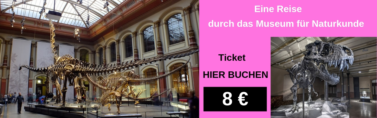 Eine Reise durch das Museum für Naturkunde