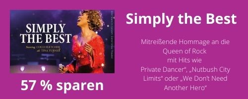  Stars in Concert Estrel Show Theater Tina Turner
