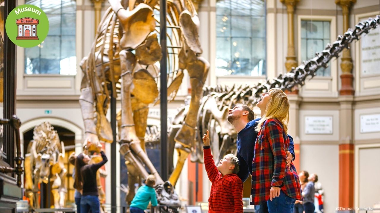 Museum für Naturkunde in Berlin