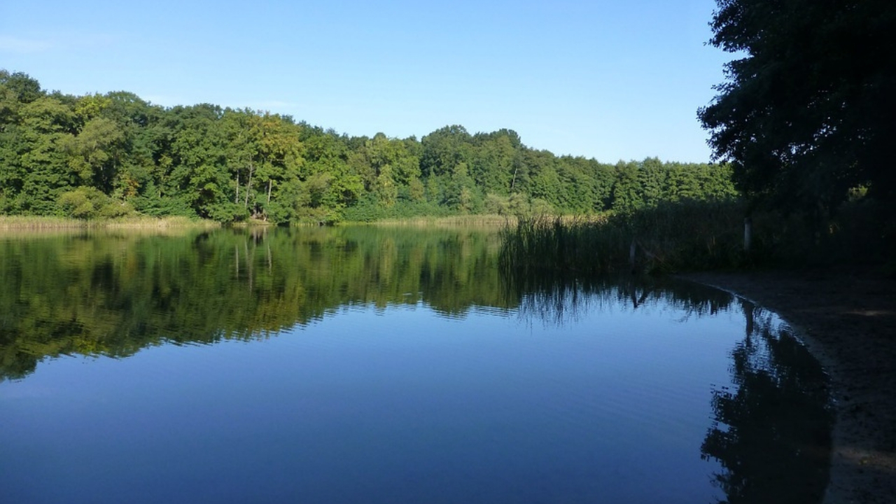 Grunewald
