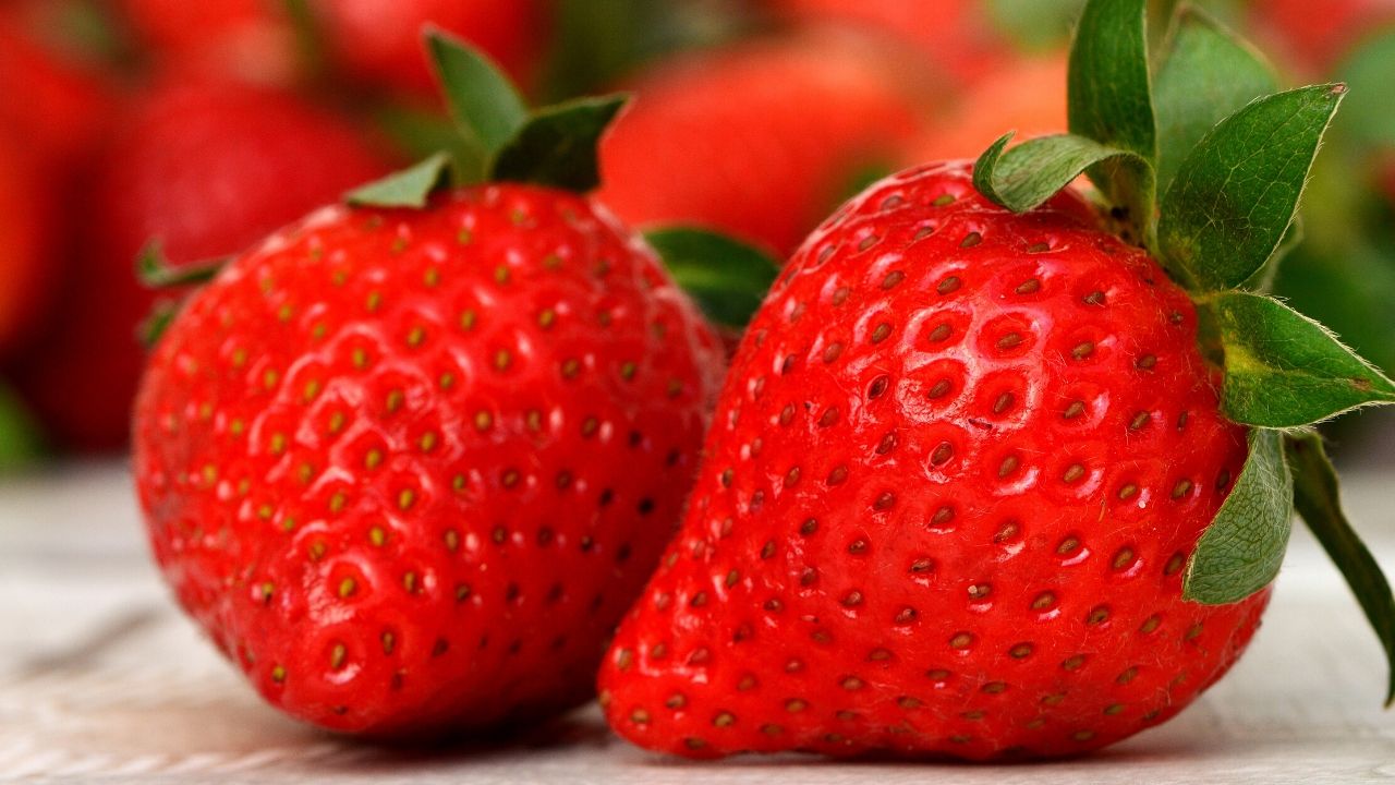 erdbeeren