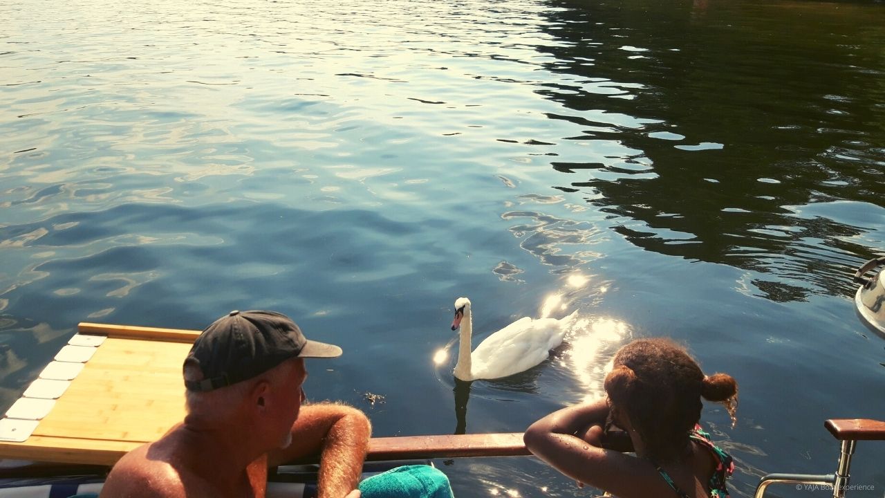 Der perfekte Tag auf dem Wasser in Berlin