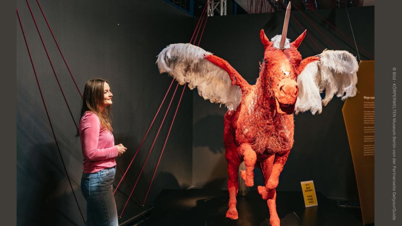 KÖRPERWELTEN Museum Berlin 3