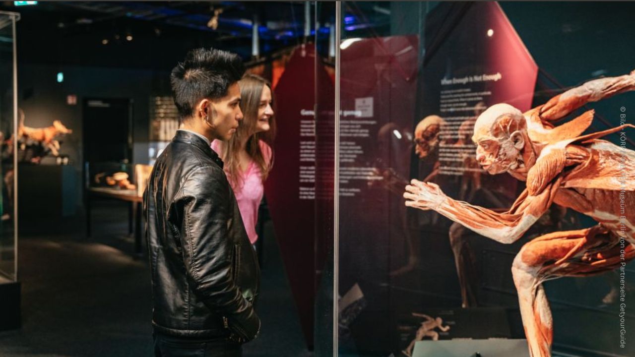 KÖRPERWELTEN Museum Berlin 4