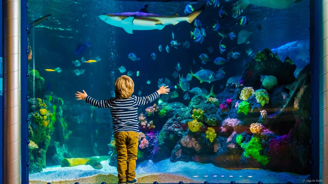 SeaLife Berlin