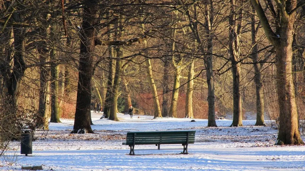 Tiergarten im Winter