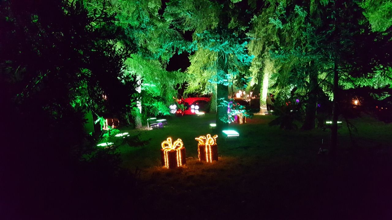 Christmas Garden in Berlin 2