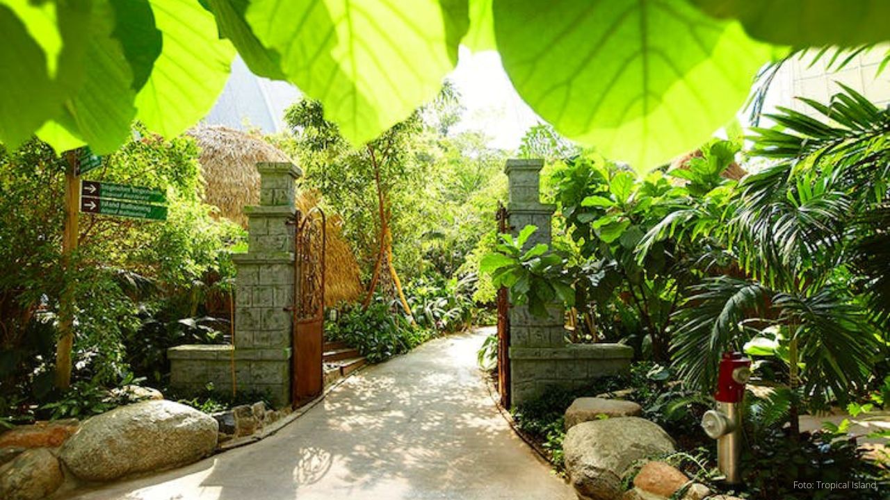 Tropical Island6