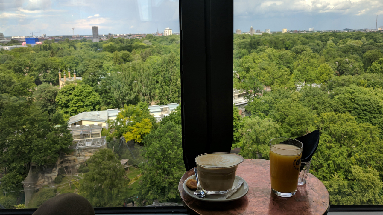 bei Latte den Affen zuschauen
