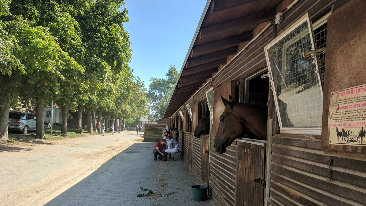 The Horse Race Track Mariendorf in Berlin