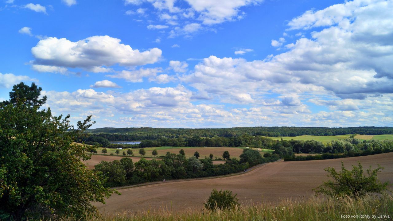 Biosphärenreservat Schorfheide-Chorin besuchen