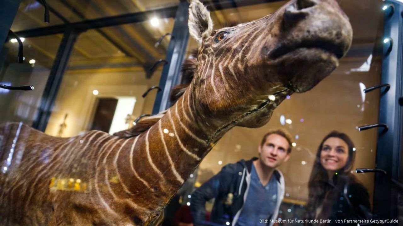 Museum für Naturkunde in Berlin