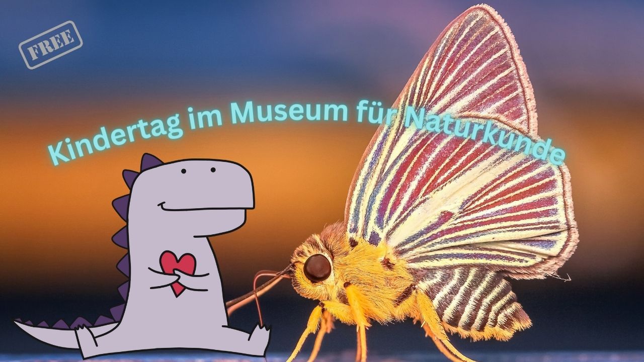 Kindertag im Museum für Naturkunde
