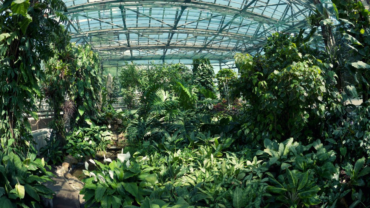 Gewächshäuser des Botanischen Garten Berlin