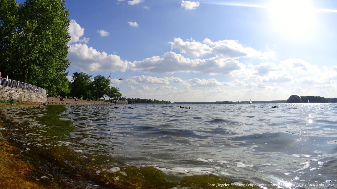 Tegeler See in Berlin