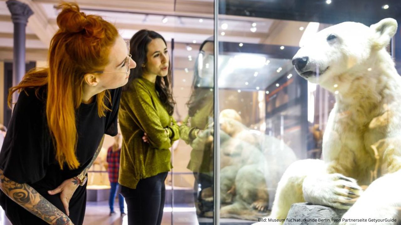Museum für Naturkunde in Berlin