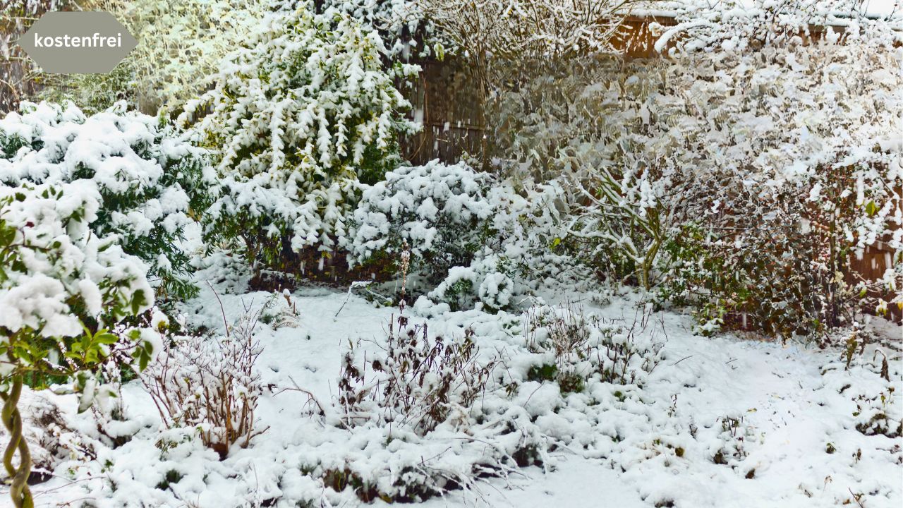 Waldspaziergang Berlin