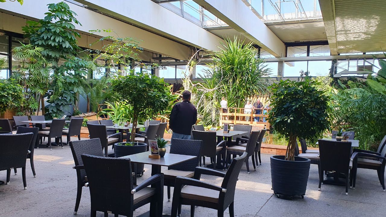 Kaffeetrinken in der Biosphäre Potsdam