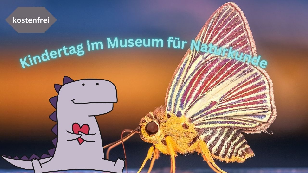 Kindertag der Berliner Sparkasse im Museum für Naturkunde