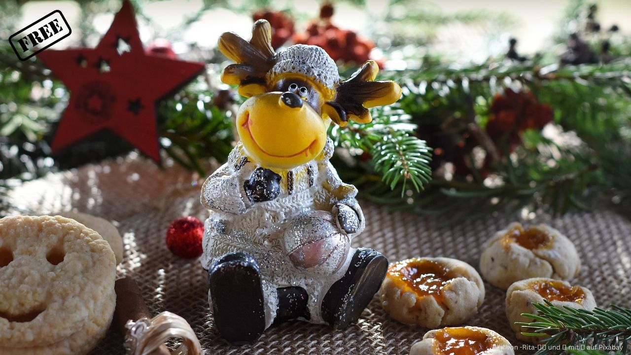 weihnachtlicher Nachhaltigkeitstag