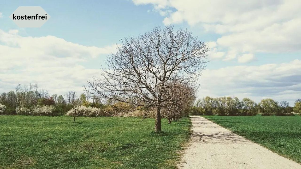 Spaziergang über die ehemaligen Rieselfelder