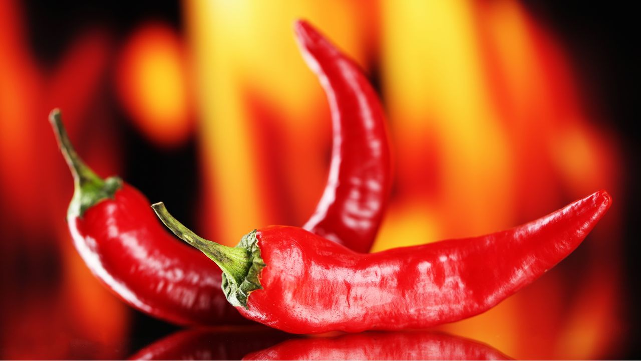 Berlin Chili Fest 2024