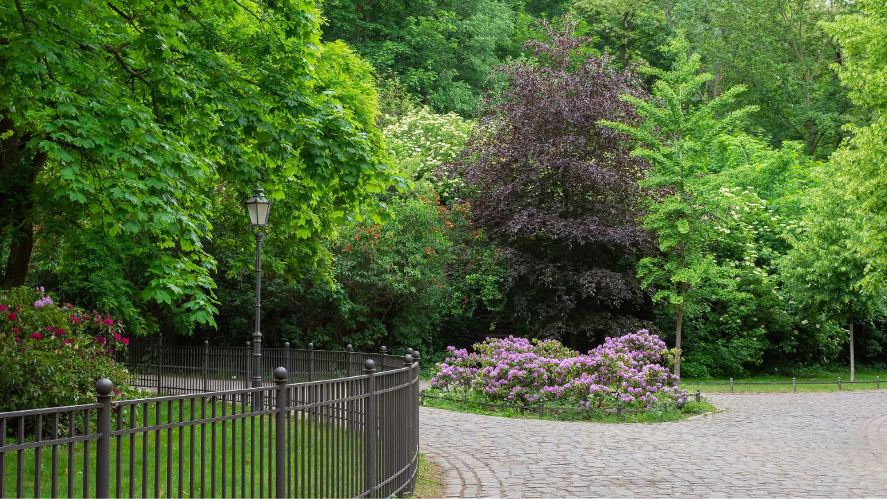Volkspark Friedrichshain in Berlin