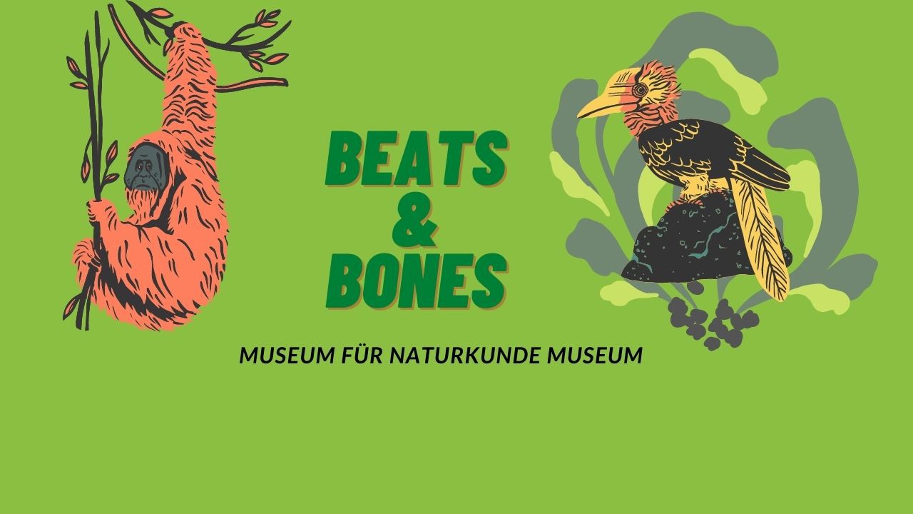 Besuchen Sie den Podcast Beats & Bones