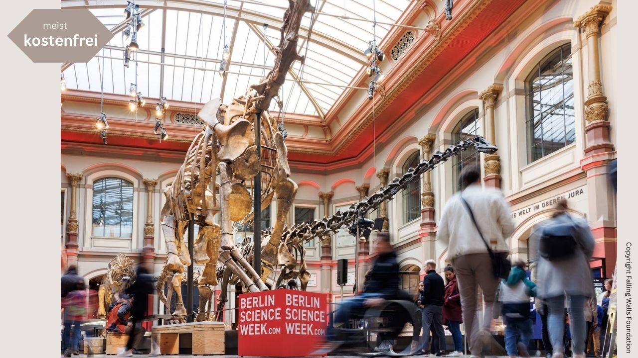 Dinosaurier Halle - Naturkundemuseum Berlin