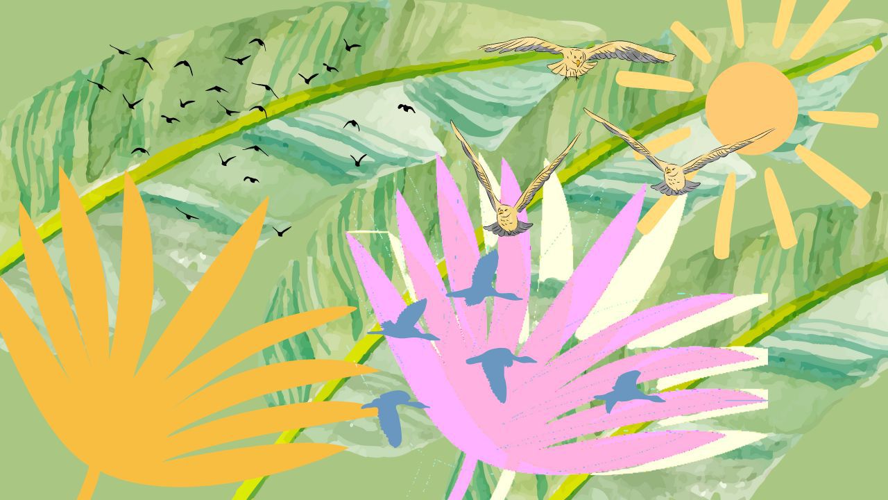 magic of summer at the Jewish Museum