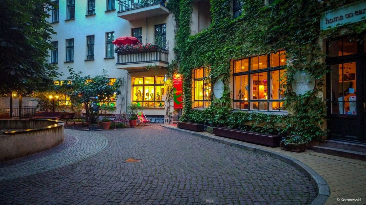 Urban plants growing at the Hackesche Höfe in Berlin.