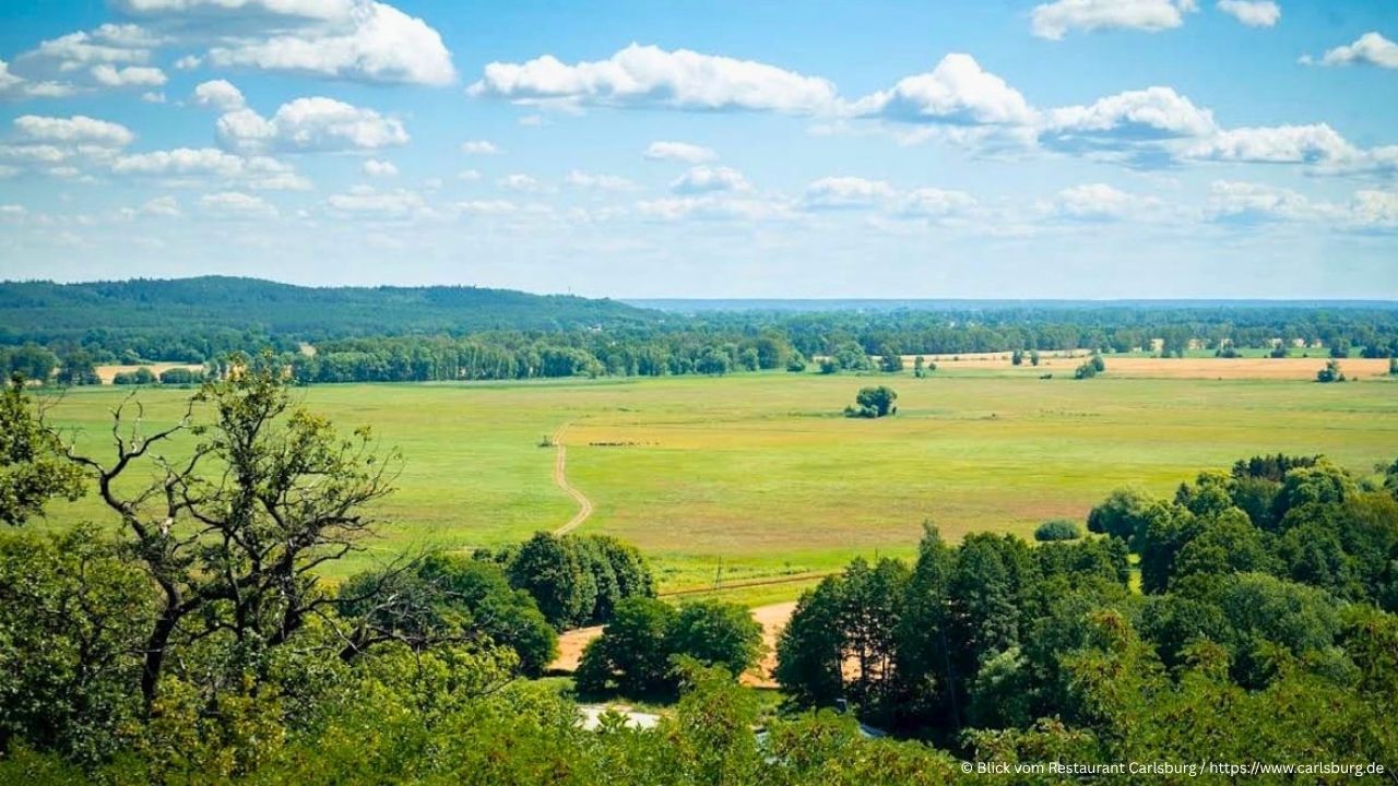 Blick auf den Oderbruch von der Carlsburg