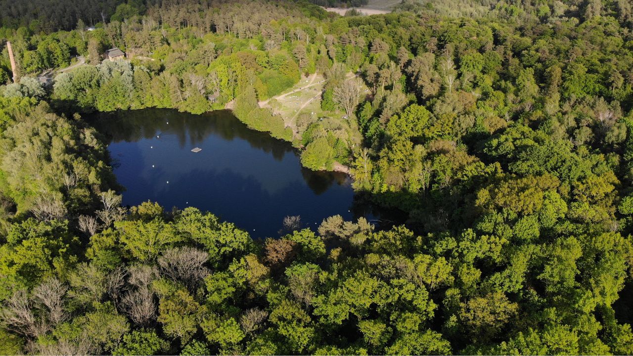 Die grünen Oasen Berlins: Der Grunewald