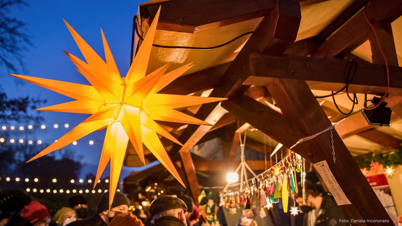 Weihnachtsmarkt „Lichterglanz im Tannenwald“ 2024