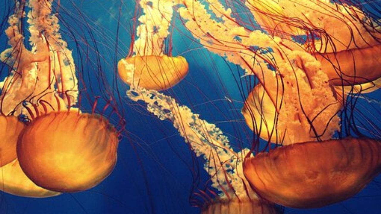 Experience Science Week in Berlin with a wide variety of events and exhibitions for free!