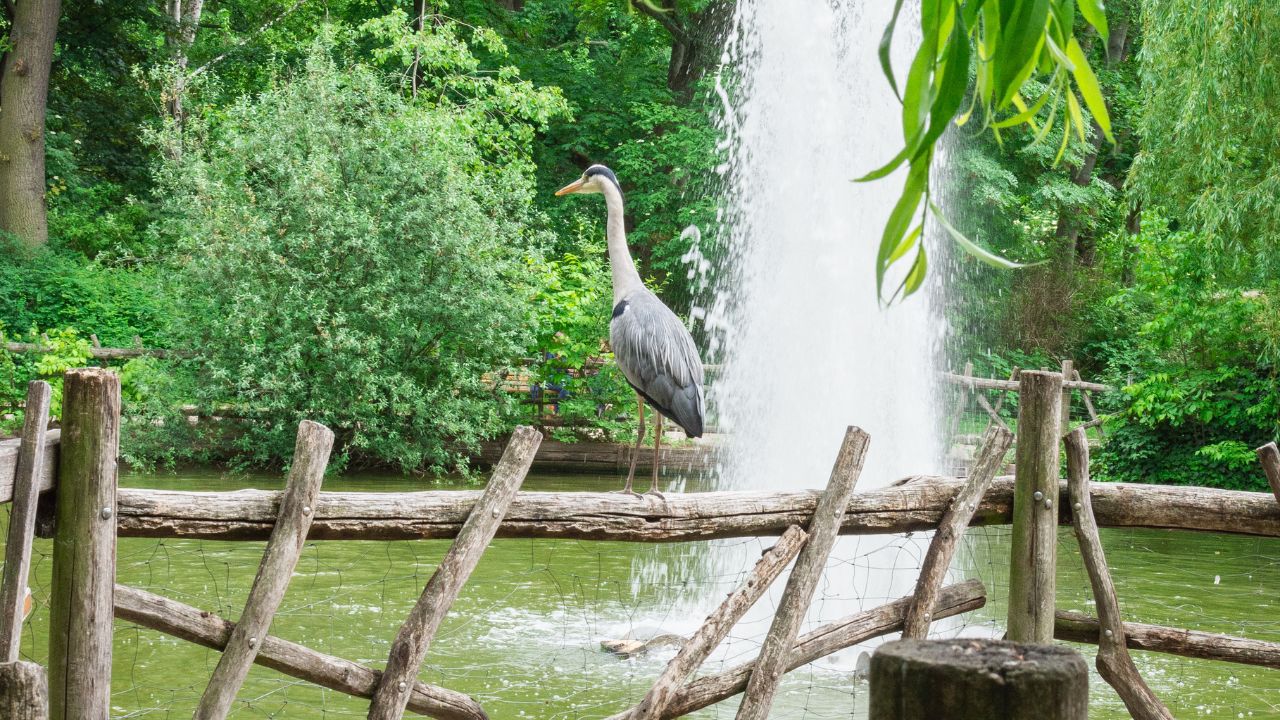 Volkspark Friedrichshain in Berlin