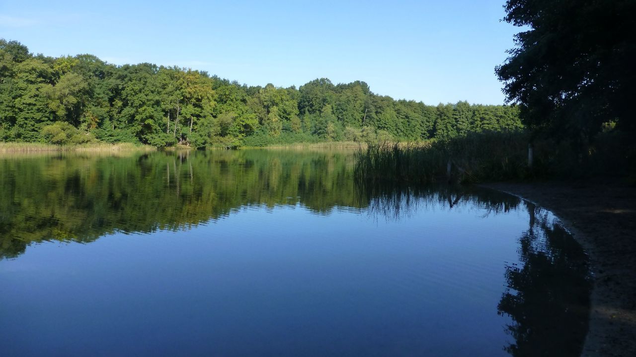 Die grünen Oasen Berlins: Der Grunewald