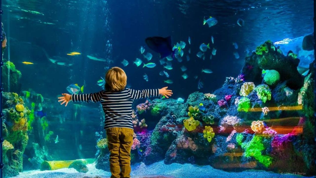 Sea Life Berlin