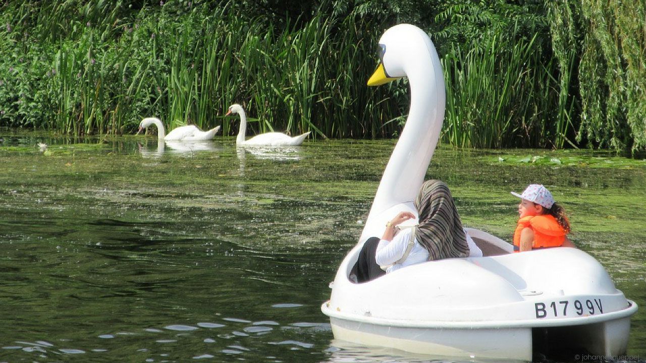Tegeler See, einer der 5 Berliner Seen perfekt zum Tretbootfahren im Sommer.