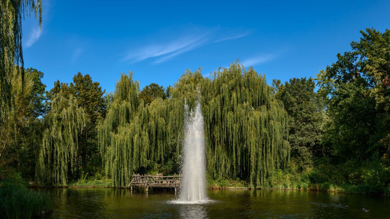 Volkspark Friedrichshain 