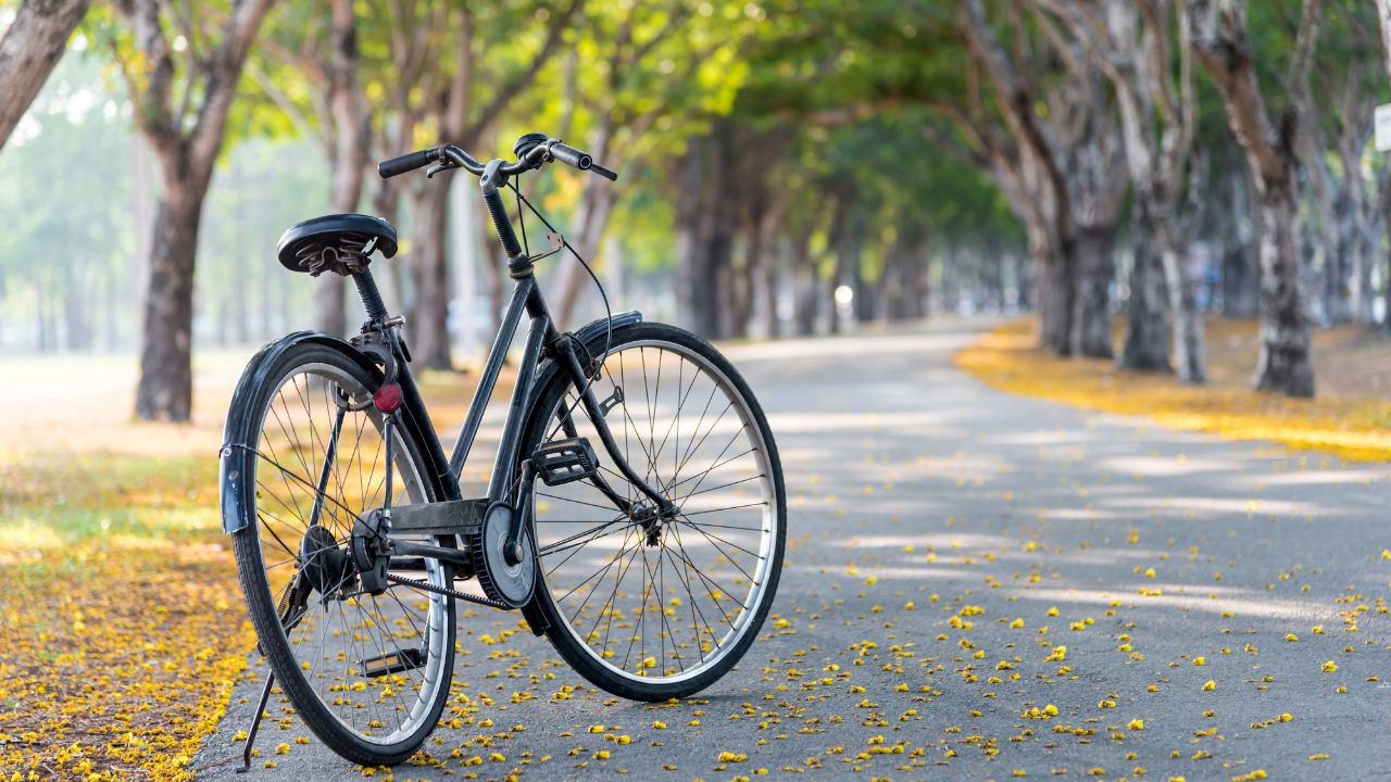 Radtour nur für Frauen in Berlin