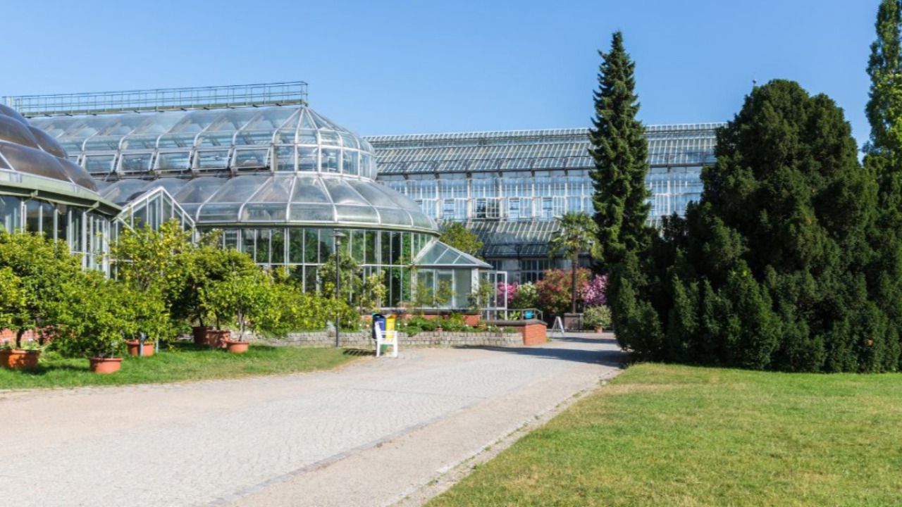 Botanischer Garten in Berlin