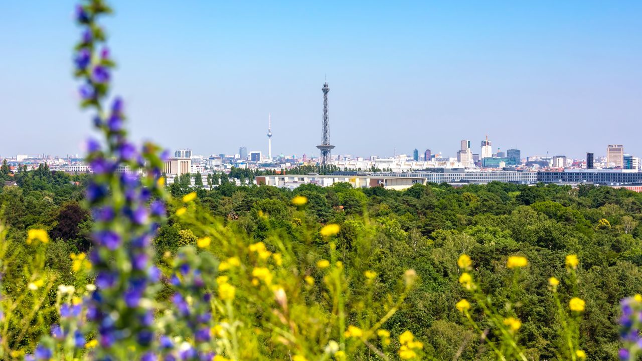 Die grünen Oasen Berlins: Der Grunewald