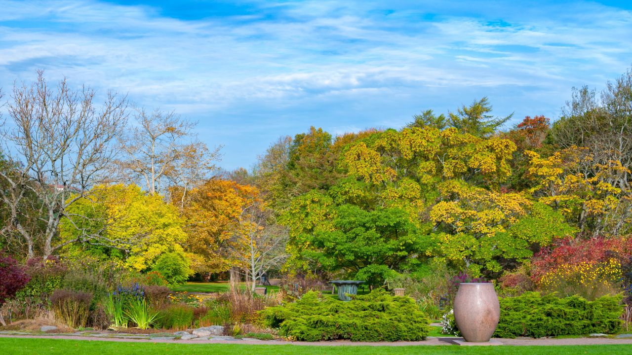 Botanischer Garten Berlin