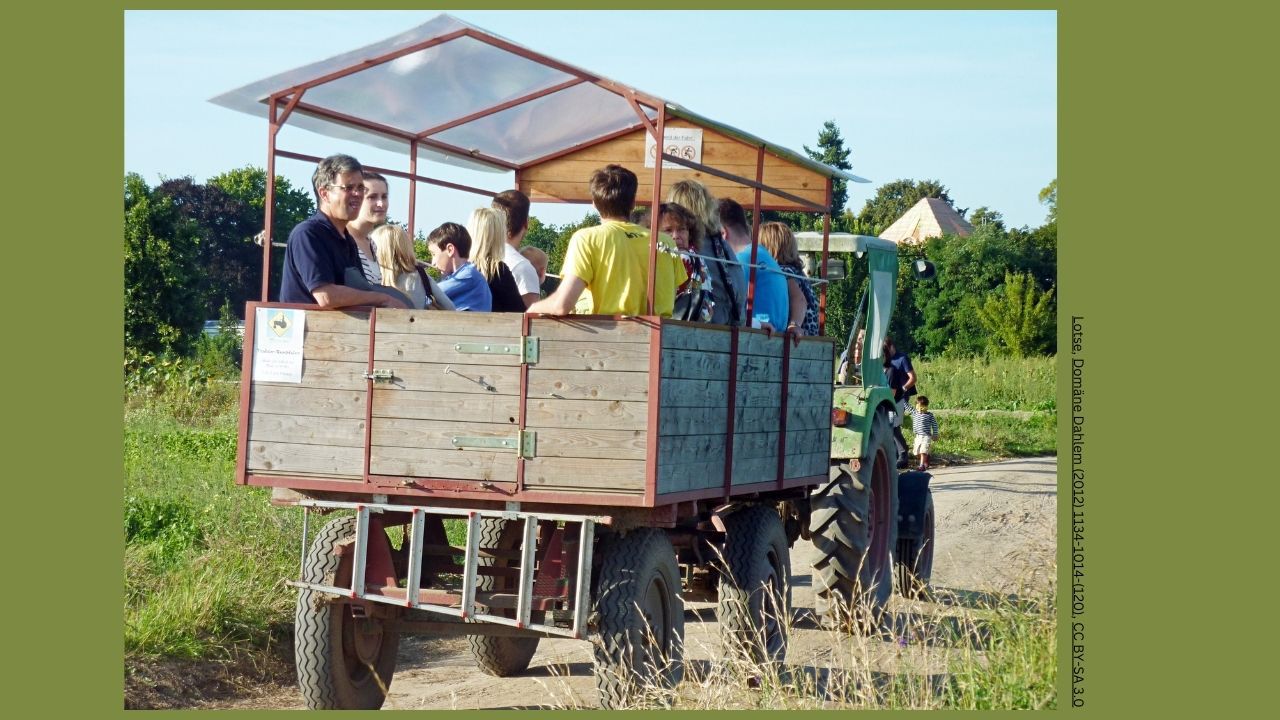 Traktor und Planwagen - Domäne Dahlem Berlin
