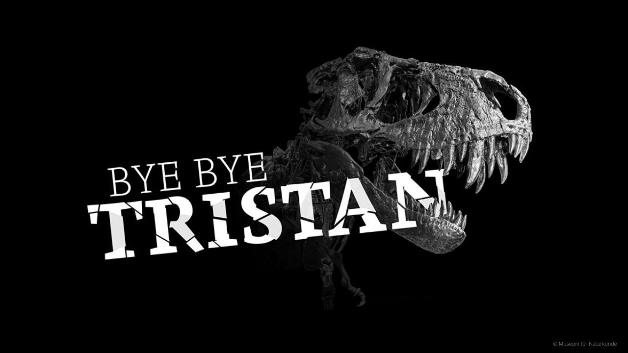 TRISTAN OTTO, eines der am besten erhaltenen T. rex-Skelette der Welt verläßt das Museum für Naturkunde in Berlin.